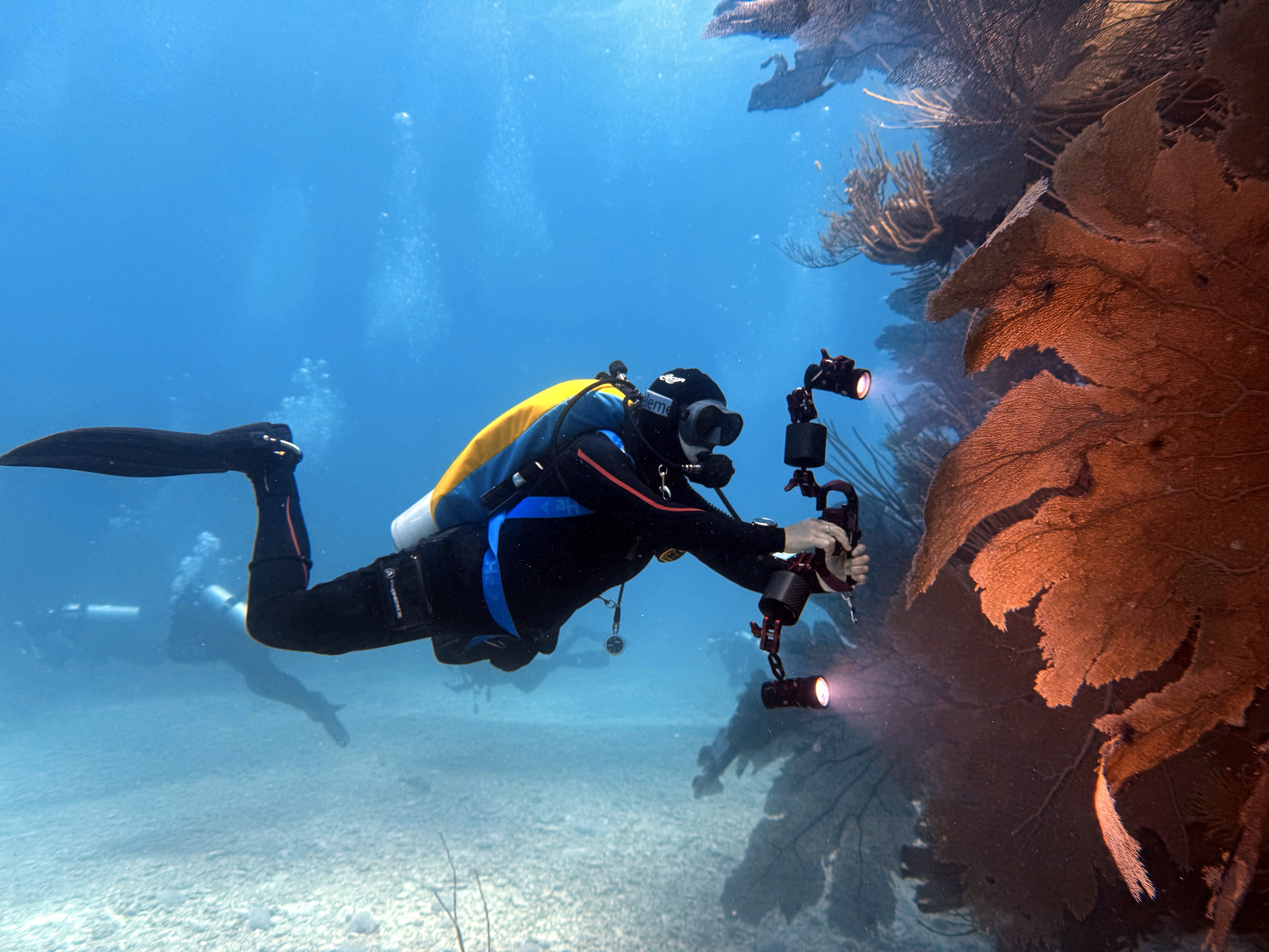 How Many Lumens Do You Really Need For A Dive Torch?