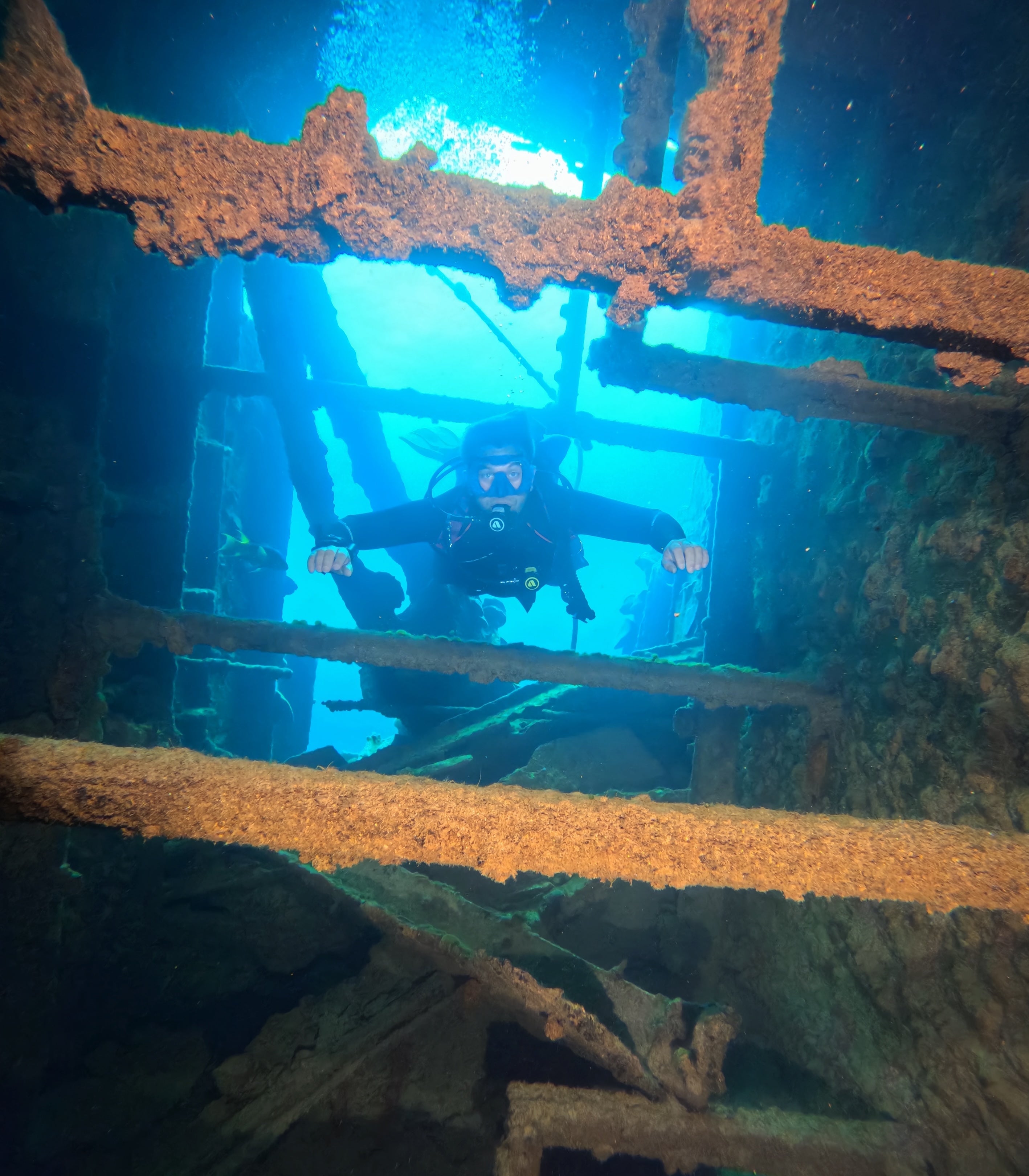 Scuba Diving Flashlights: The Best Picks for Every Dive