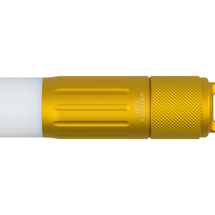 Taz Signal Light